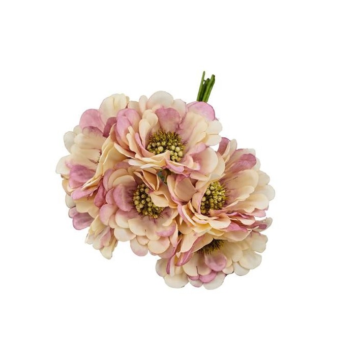 GERBERA SFUMATA ROSA D5